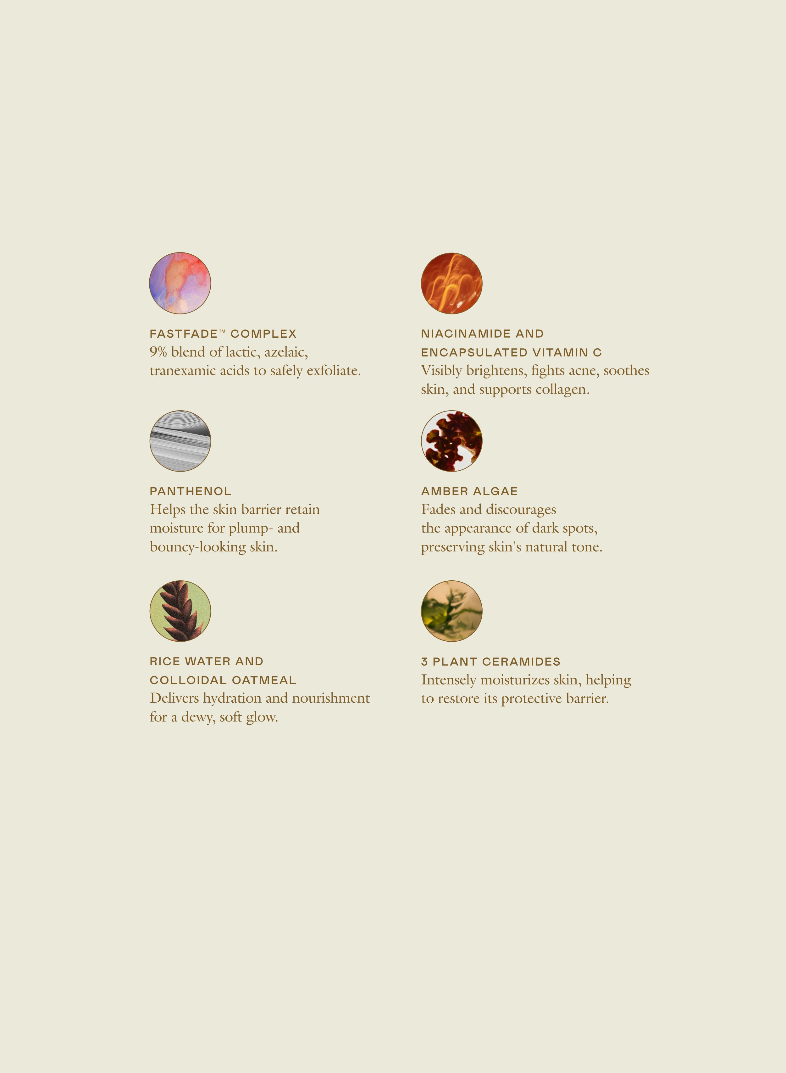 The Motherhood Set | EADEM