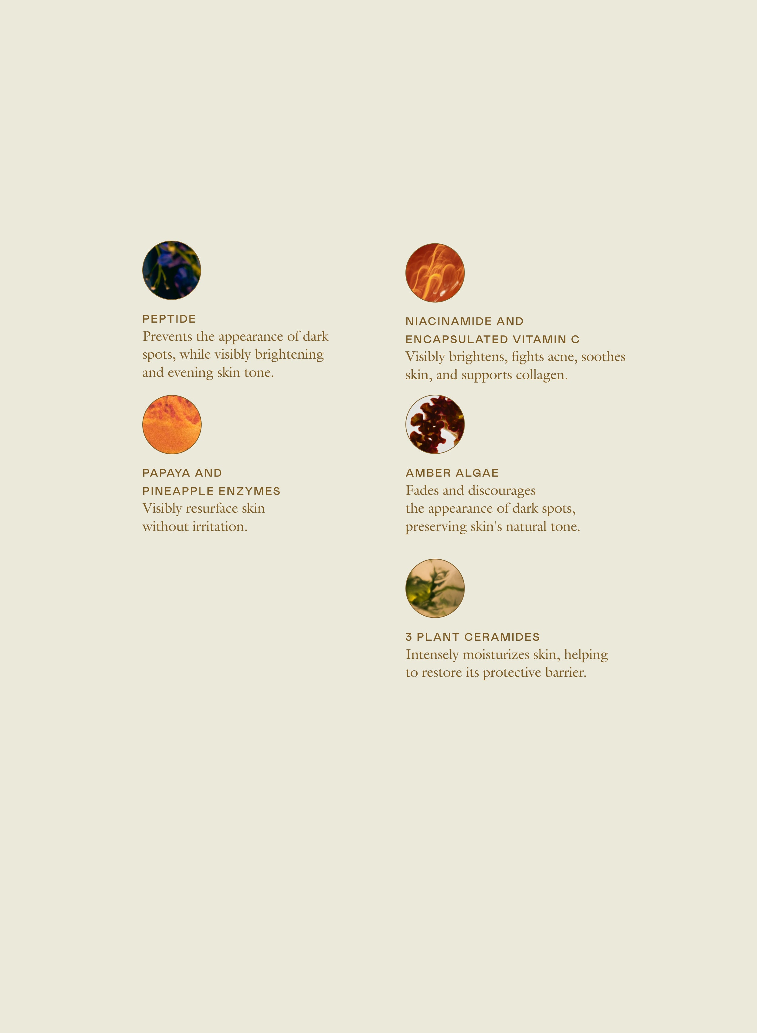 The 30 Second Duo | EADEM