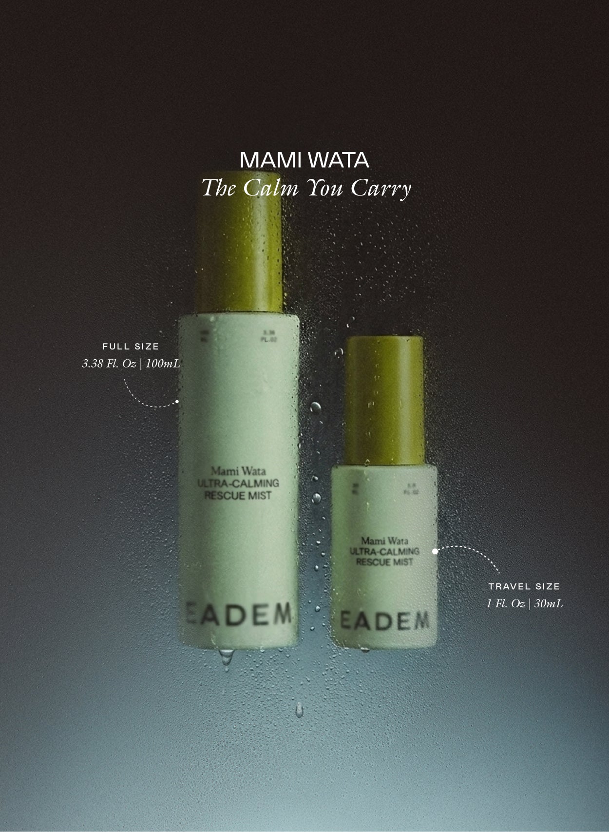 full-size | EADEM
