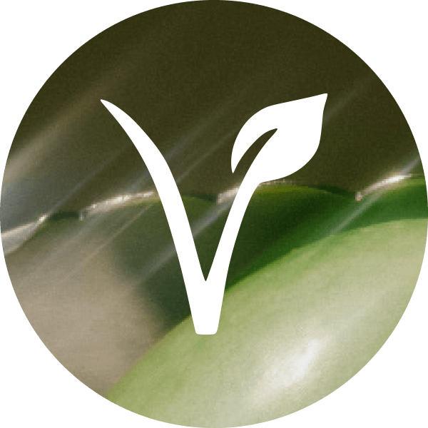 Vegan | Pledge | EADEM